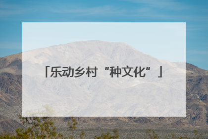 乐动乡村“种文化”