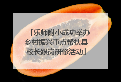 乐师附小成功举办乡村振兴重点帮扶县校长跟岗研修活动