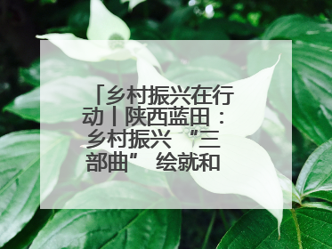 乡村振兴在行动丨陕西蓝田：乡村振兴 “三部曲” 绘就和美乡村新画卷