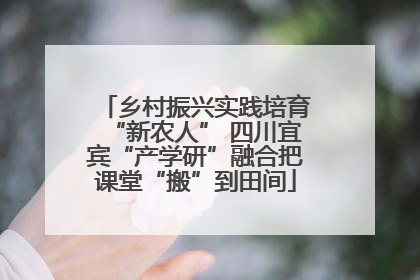 乡村振兴实践培育“新农人” 四川宜宾“产学研”融合把课堂“搬”到田间
