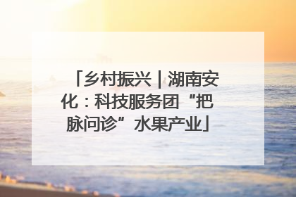 乡村振兴｜湖南安化：科技服务团“把脉问诊”水果产业