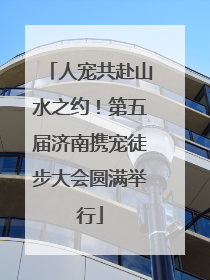 人宠共赴山水之约！第五届济南携宠徒步大会圆满举行