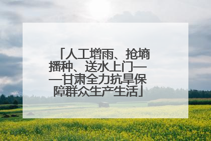 人工增雨、抢墒播种、送水上门——甘肃全力抗旱保障群众生产生活