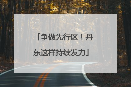 争做先行区！丹东这样持续发力