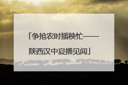 争抢农时插秧忙——陕西汉中夏播见闻