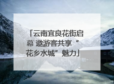 云南宜良花街启幕 邀游客共享“花乡水城”魅力