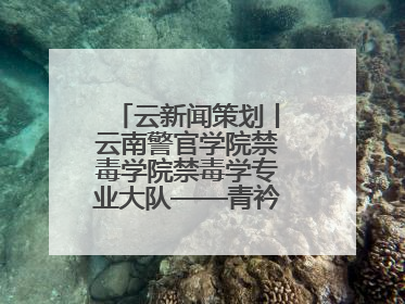 云新闻策划丨云南警官学院禁毒学院禁毒学专业大队——青衿之志辉映警徽