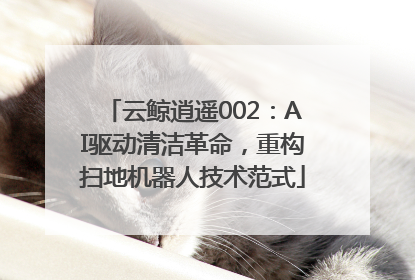 云鲸逍遥002：AI驱动清洁革命，重构扫地机器人技术范式