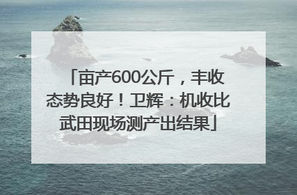 亩产600公斤，丰收态势良好！卫辉：机收比武田现场测产出结果