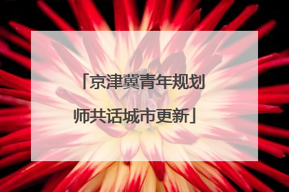 京津冀青年规划师共话城市更新