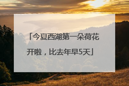今夏西湖第一朵荷花开啦，比去年早5天