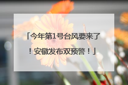 今年第1号台风要来了！安徽发布双预警！