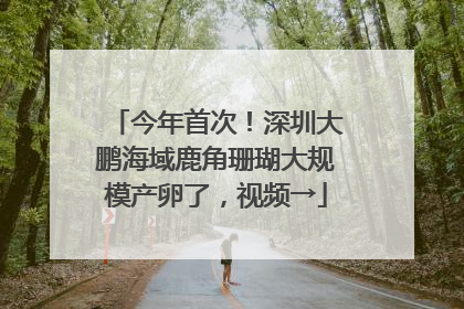 今年首次！深圳大鹏海域鹿角珊瑚大规模产卵了，视频→
