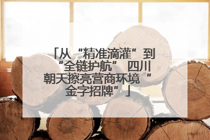 从“精准滴灌”到“全链护航” 四川朝天擦亮营商环境“金字招牌”