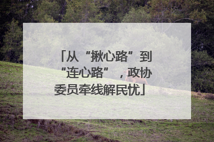 从“揪心路”到“连心路”，政协委员牵线解民忧