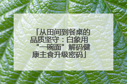 从田间到餐桌的品质坚守：白象用“一碗面”解码健康主食升级密码