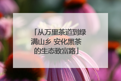 从万里茶道到绿满山乡 安化黑茶的生态致富路