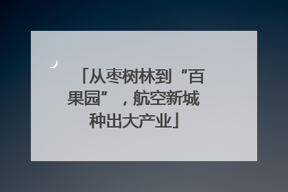 从枣树林到“百果园”，航空新城种出大产业