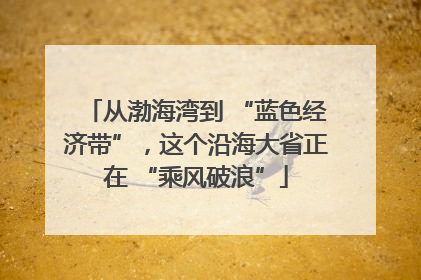 从渤海湾到 “蓝色经济带”，这个沿海大省正在 “乘风破浪”