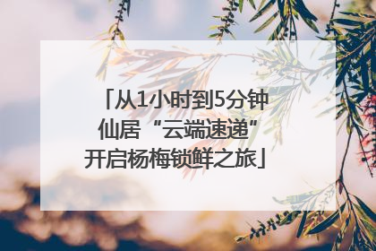 从1小时到5分钟 仙居“云端速递”开启杨梅锁鲜之旅