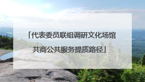 代表委员联组调研文化场馆 共商公共服务提质路径