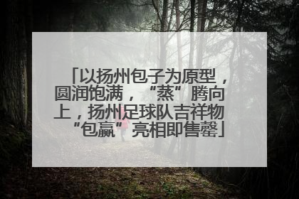 以扬州包子为原型，圆润饱满，“蒸”腾向上，扬州足球队吉祥物“包赢”亮相即售罄