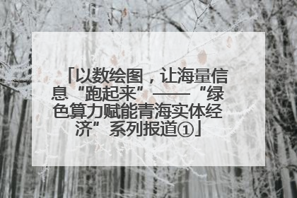 以数绘图，让海量信息“跑起来”——“绿色算力赋能青海实体经济”系列报道①