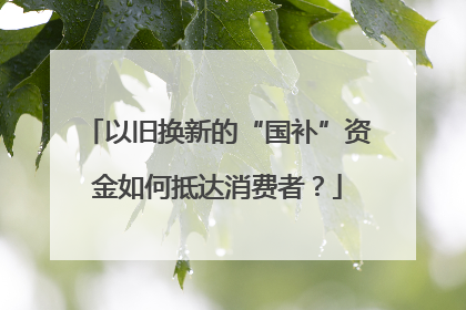 以旧换新的“国补”资金如何抵达消费者？