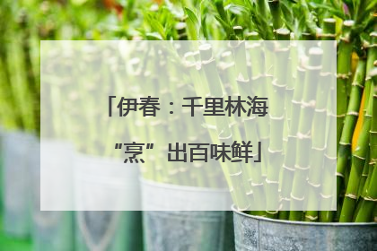 伊春：千里林海“烹”出百味鲜