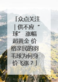 众点关注｜供不应“球” 涨幅超黄金 价格亲民的羽毛球为何身价飞涨？