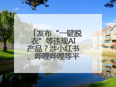 发布“一键脱衣”等违规AI产品？涉小红书、哔哩哔哩等平台！上海出手