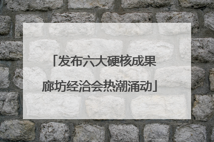 发布六大硬核成果 廊坊经洽会热潮涌动
