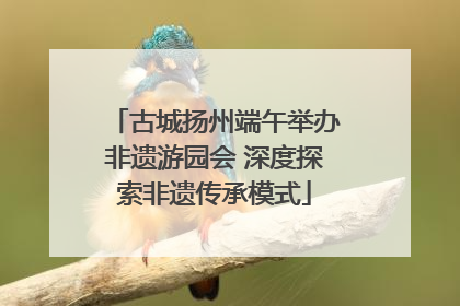 古城扬州端午举办非遗游园会 深度探索非遗传承模式