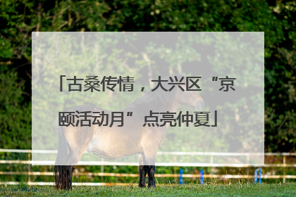 古桑传情，大兴区“京颐活动月”点亮仲夏