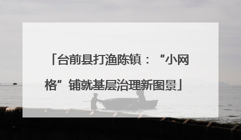 台前县打渔陈镇：“小网格”铺就基层治理新图景