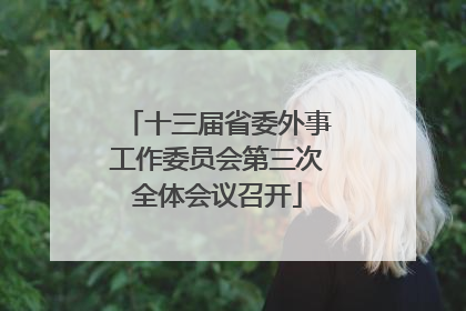 十三届省委外事工作委员会第三次全体会议召开