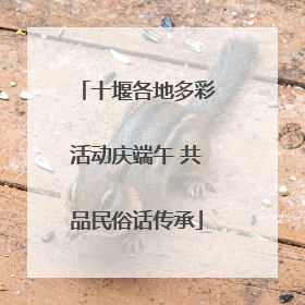 十堰各地多彩活动庆端午 共品民俗话传承