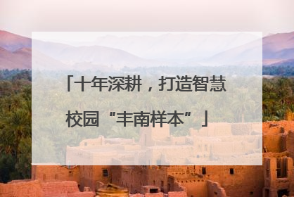 十年深耕，打造智慧校园“丰南样本”