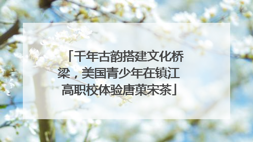 千年古韵搭建文化桥梁，美国青少年在镇江高职校体验唐菓宋茶