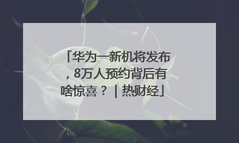 华为一新机将发布，8万人预约背后有啥惊喜？｜热财经