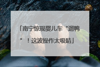 南宁惊现婴儿车“遛鸭”！这波操作太吸睛