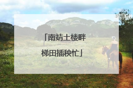 南靖土楼畔 梯田插秧忙