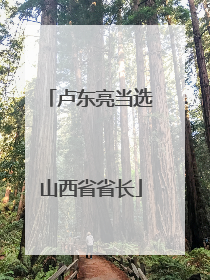 卢东亮当选山西省省长