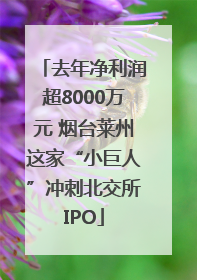 去年净利润超8000万元 烟台莱州这家“小巨人”冲刺北交所IPO
