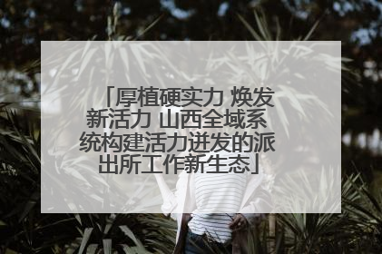 厚植硬实力 焕发新活力 山西全域系统构建活力迸发的派出所工作新生态