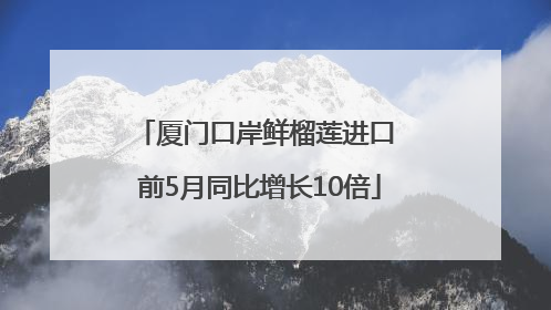 厦门口岸鲜榴莲进口 前5月同比增长10倍