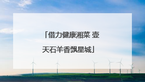 借力健康湘菜 壶天石羊香飘星城