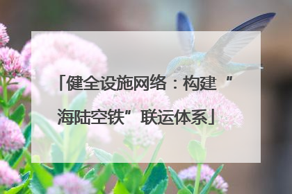 健全设施网络：构建“海陆空铁”联运体系