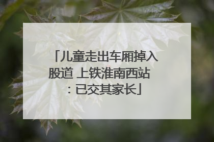 儿童走出车厢掉入股道 上铁淮南西站：已交其家长
