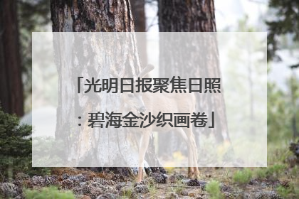 光明日报聚焦日照：碧海金沙织画卷
